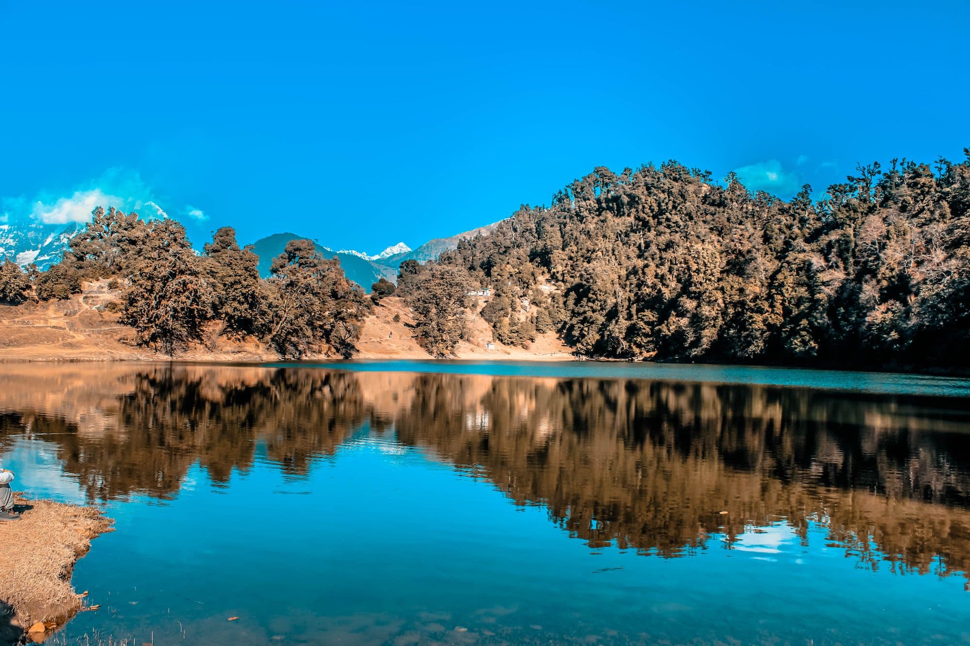 Chopta Tungnath photo 5