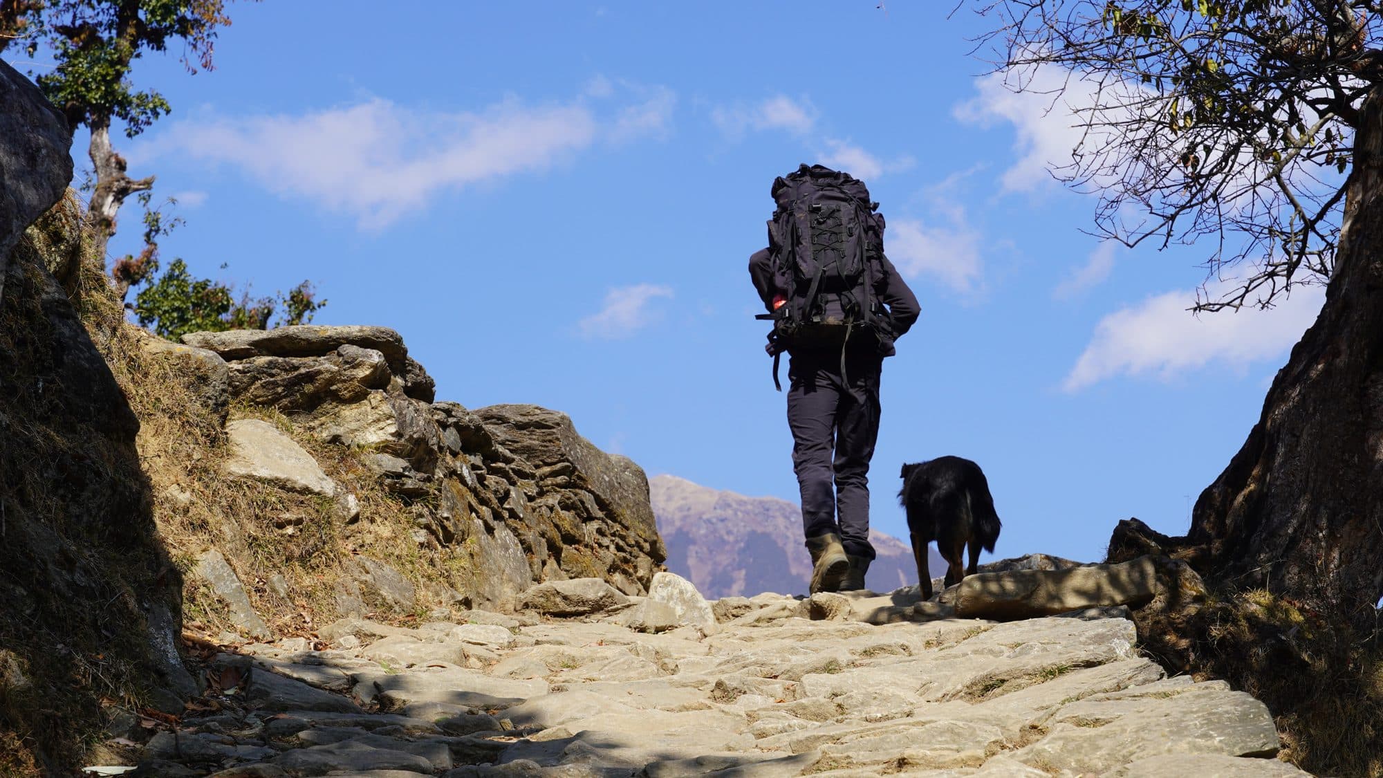 Dayara Bugyal Trek photo 3