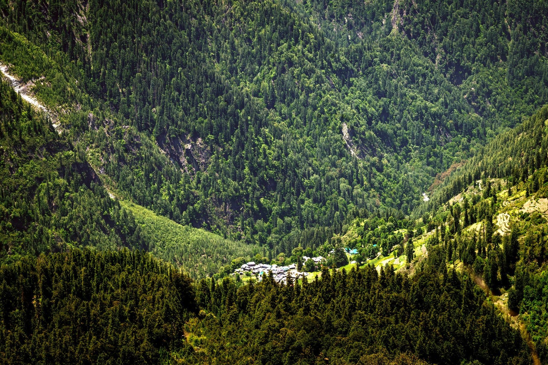 Dayara Bugyal Trek photo 4