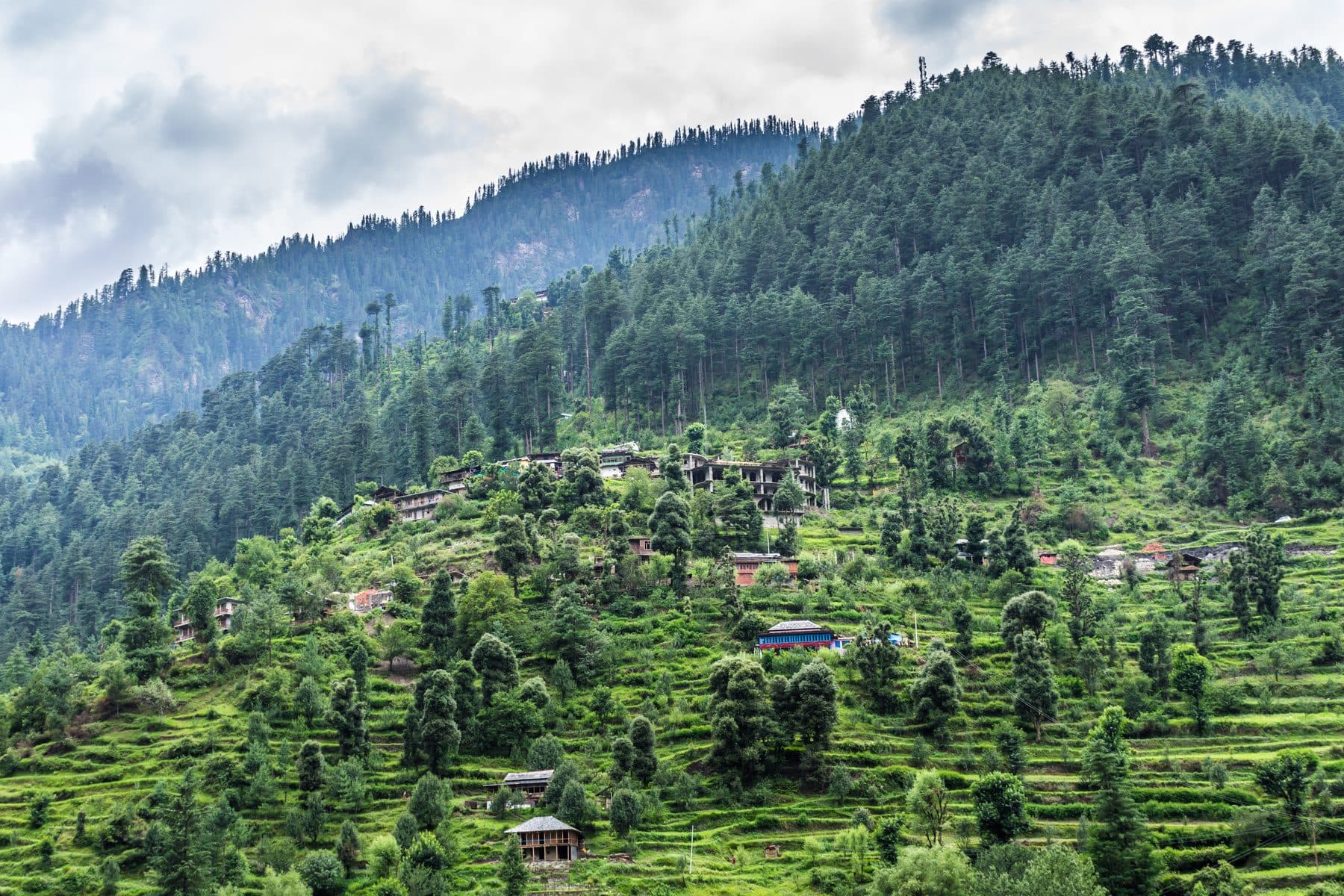 Kasol Tosh photo 3