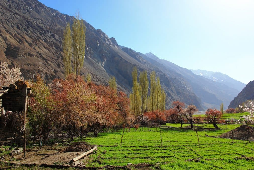 Leh to Leh with Turtuk (5N/6D) photo 4