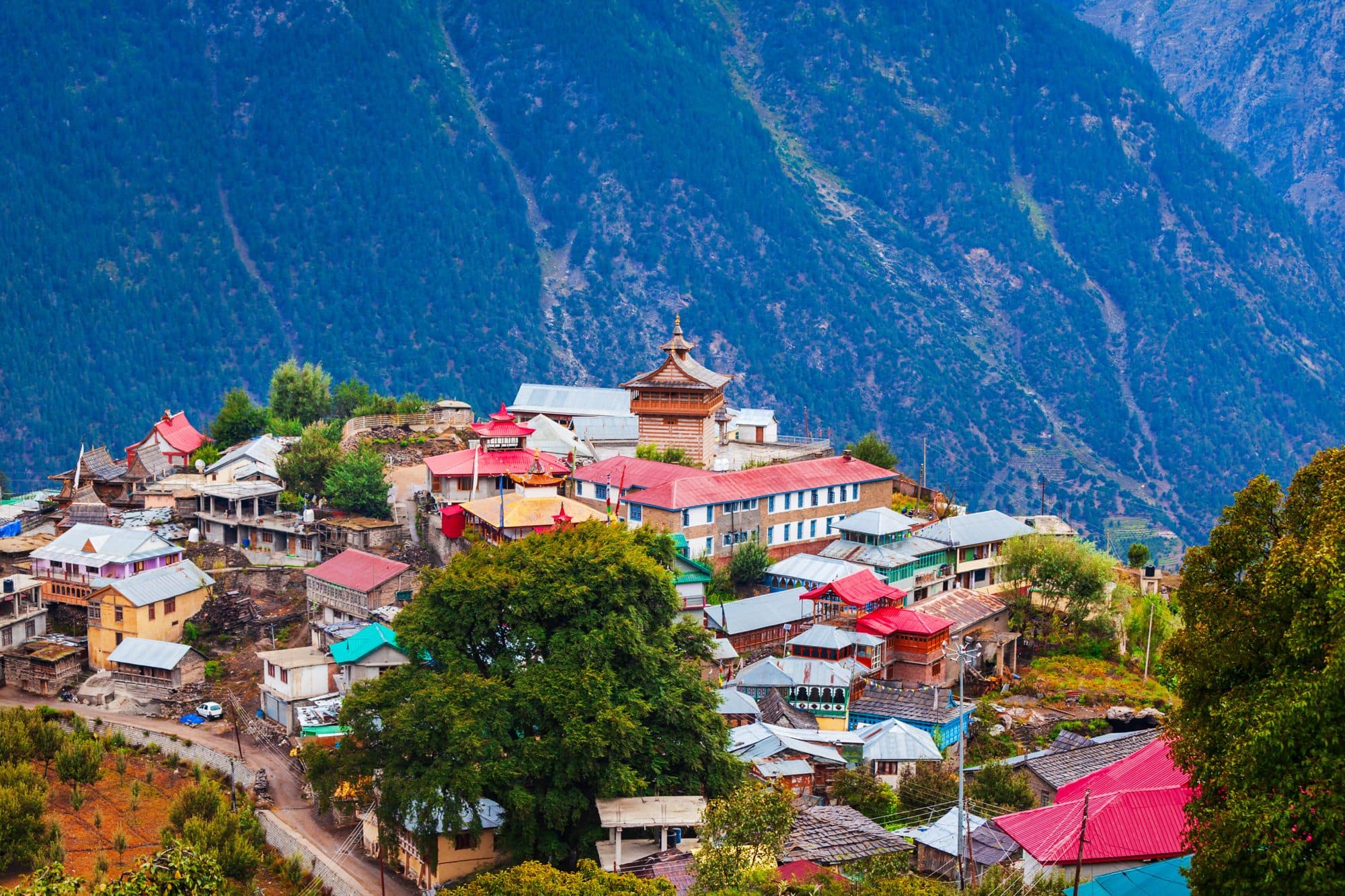 Manali, Sissu & Kasol photo 4