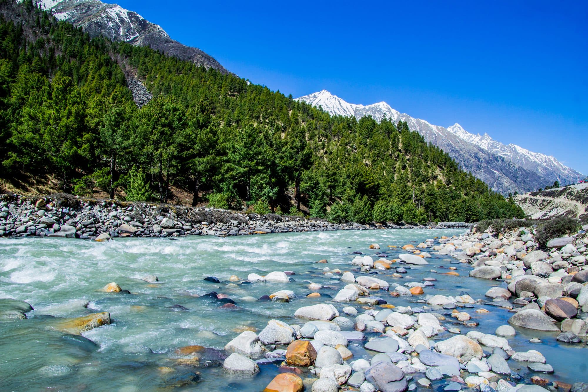 Shimla, Chitkul & Kalpa photo 3