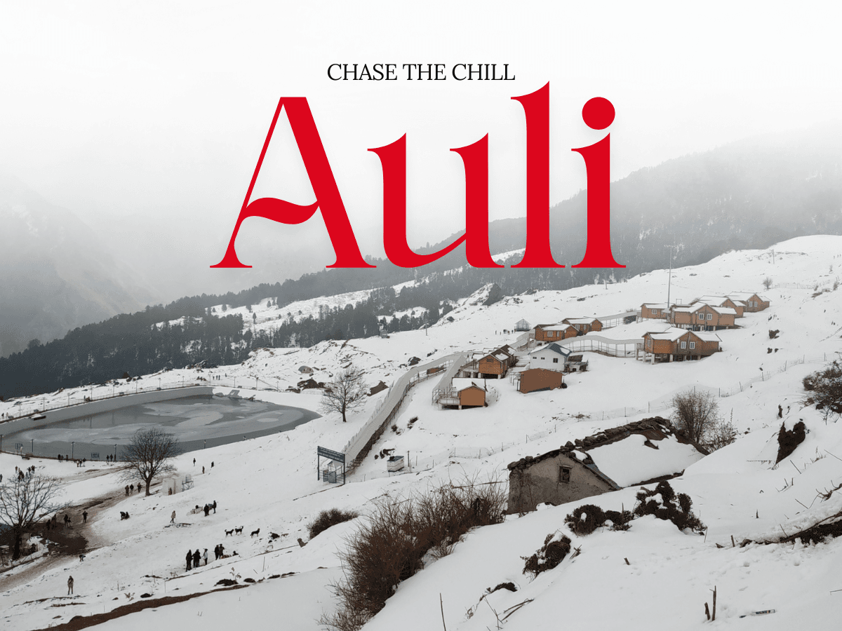 Auli