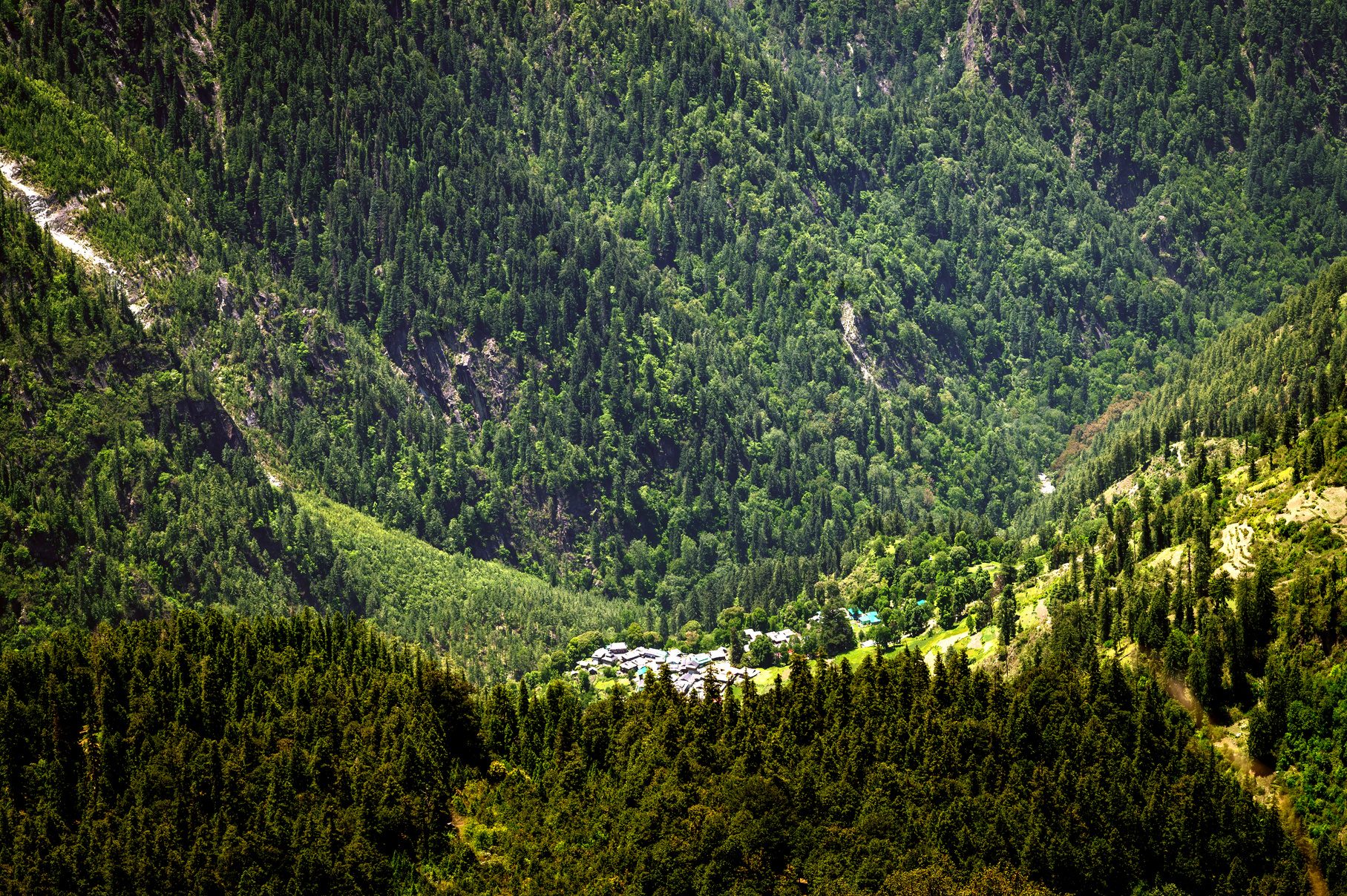 Dayara Bugyal Trek photo 4