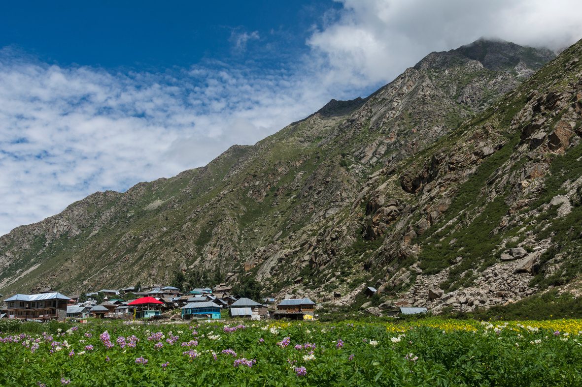 Kasol, Kheerganga & Tosh photo 8