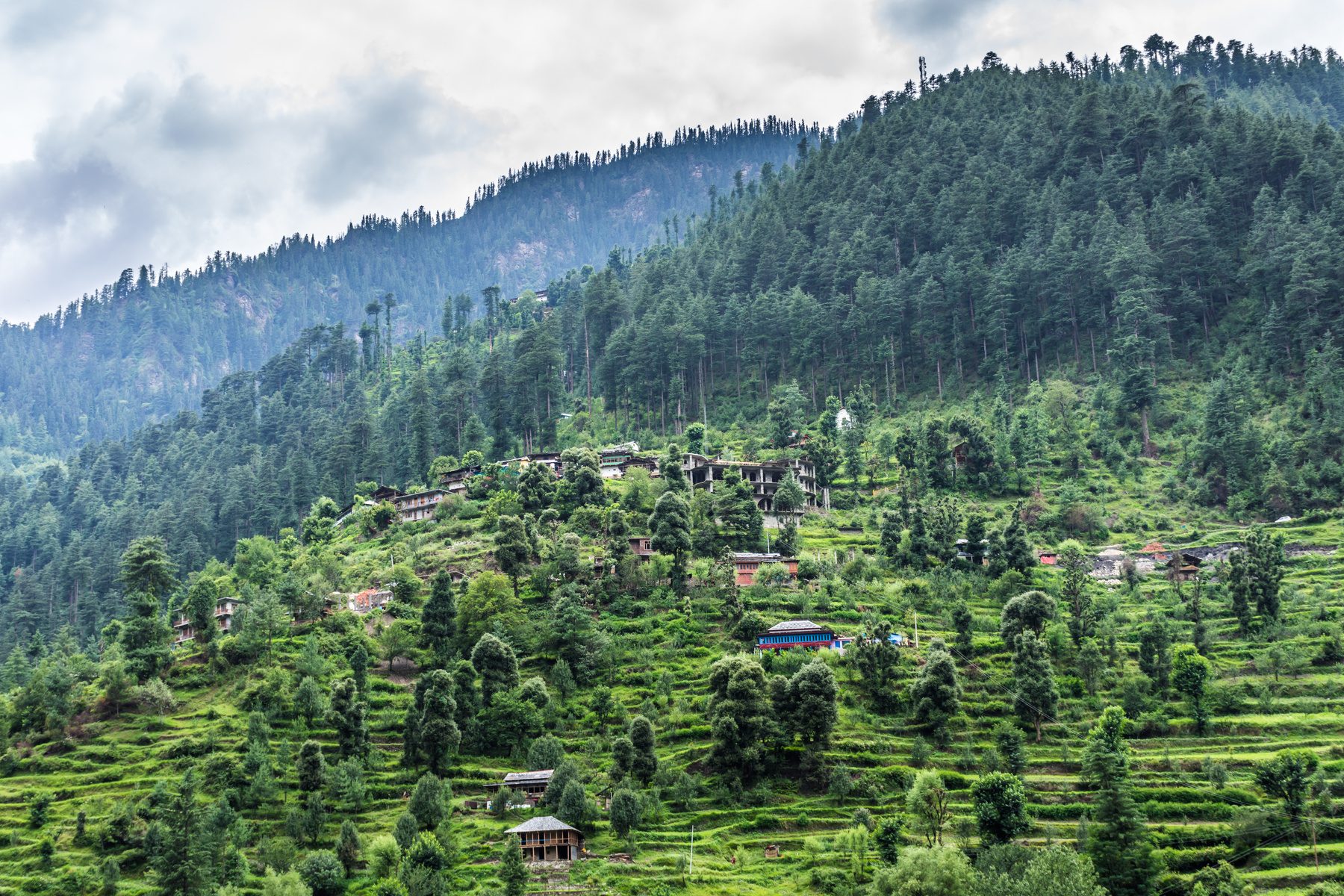 Kasol Tosh photo 8