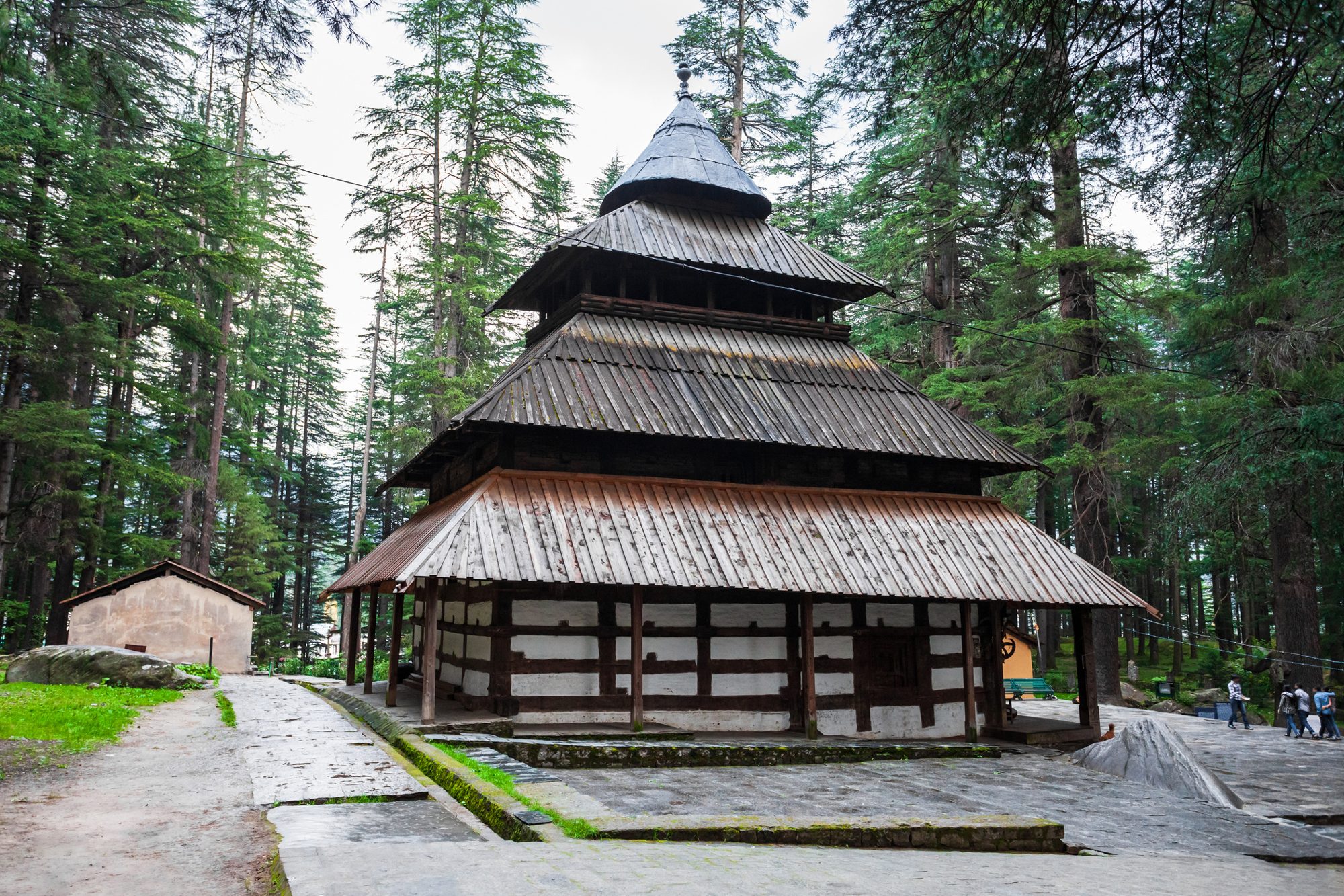 Manali, Sissu & Kasol photo 8
