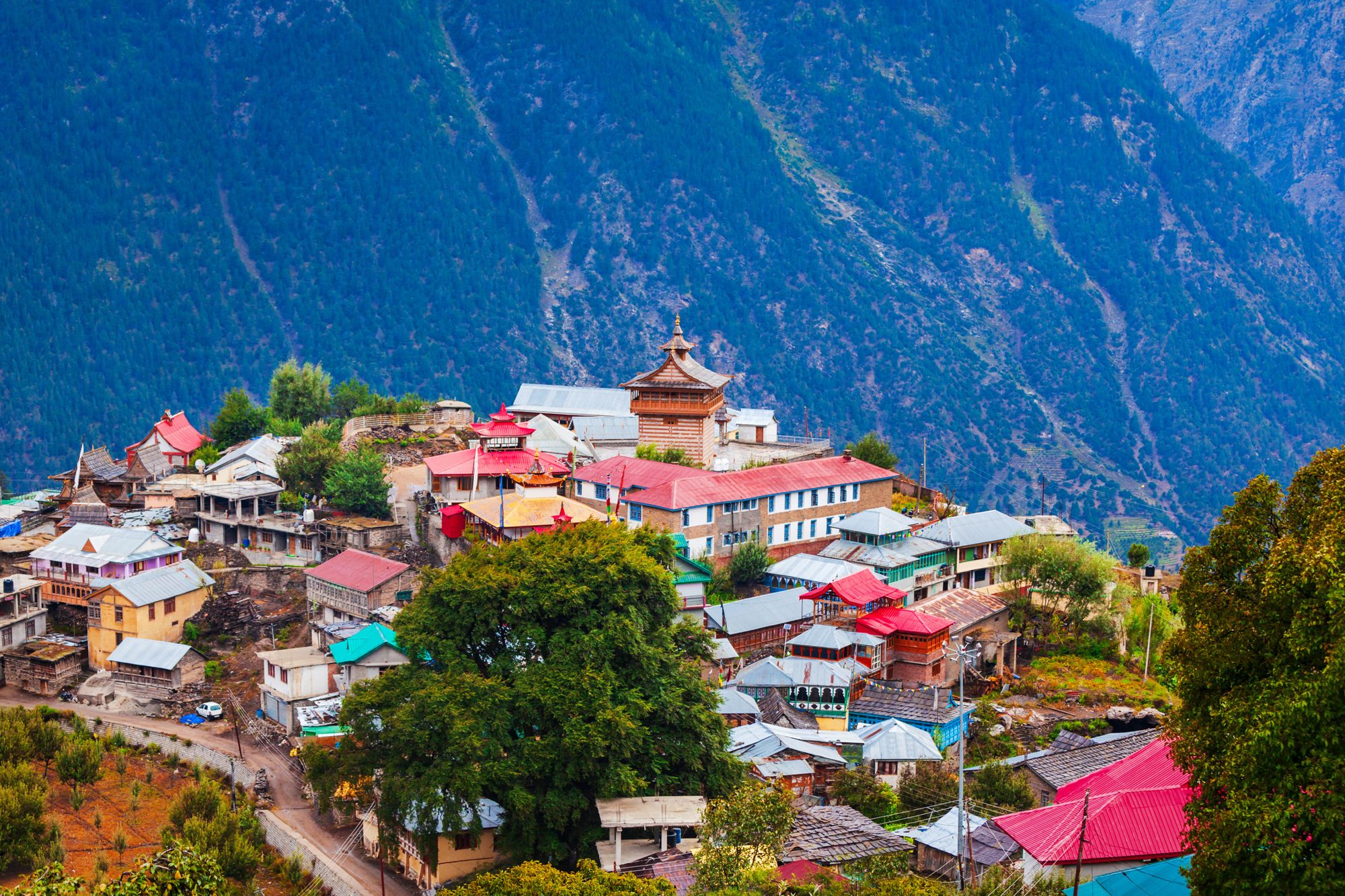 Manali, Sissu & Kasol photo 9